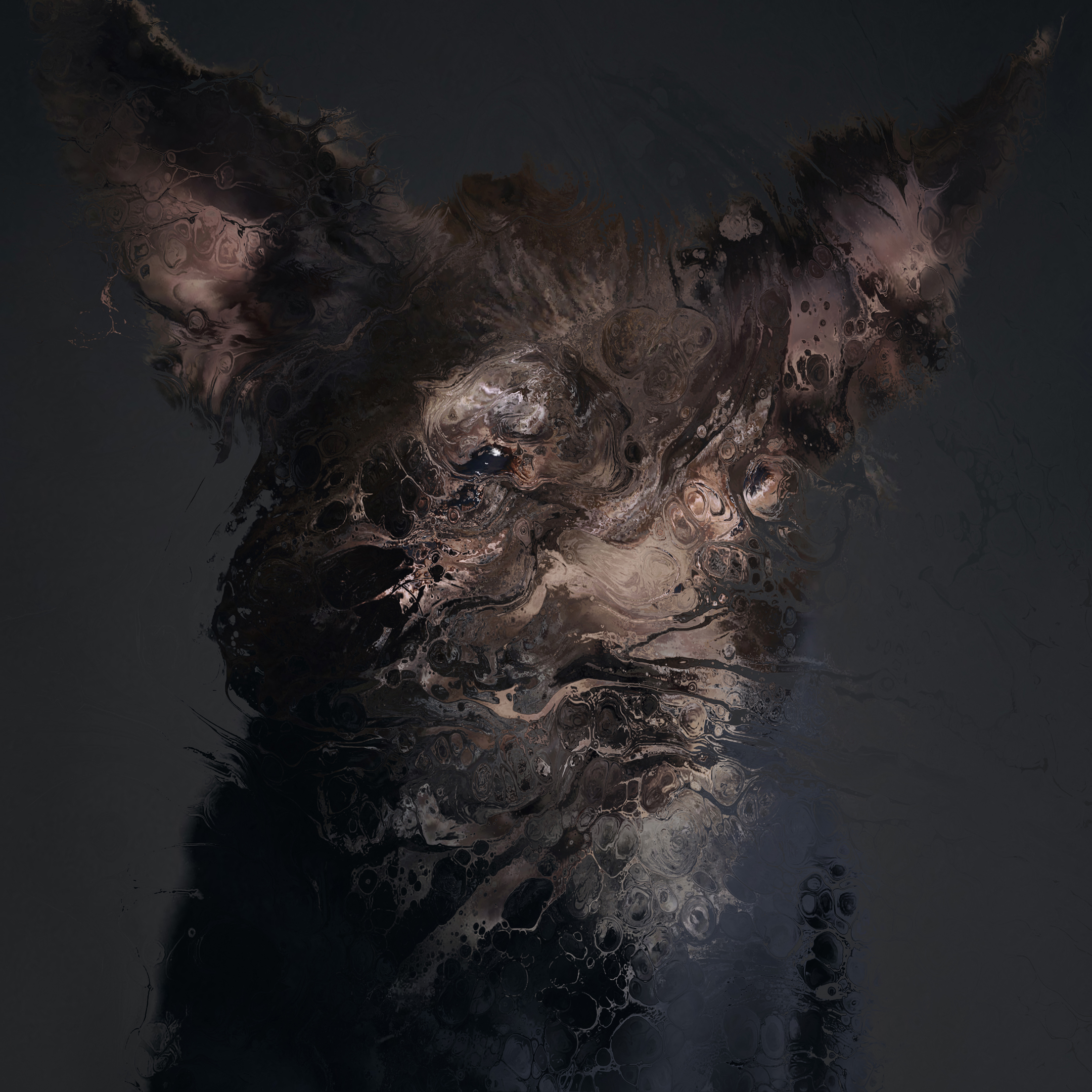 perro-01